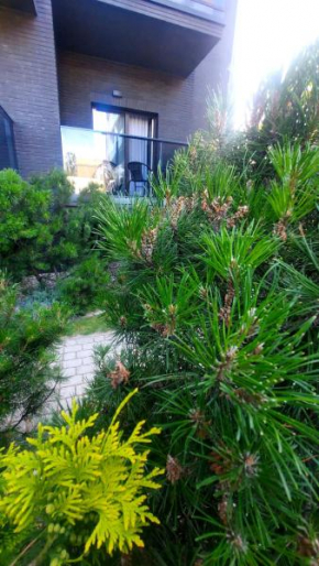 Sea La Vie apartamentai, Palanga